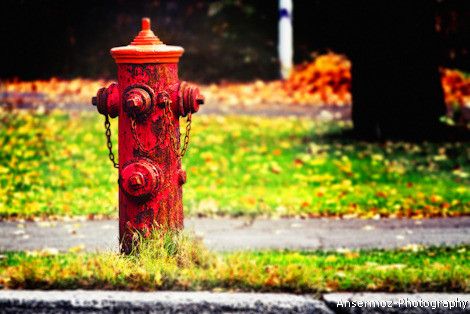 Fire plug lomo photography tutorial illustration