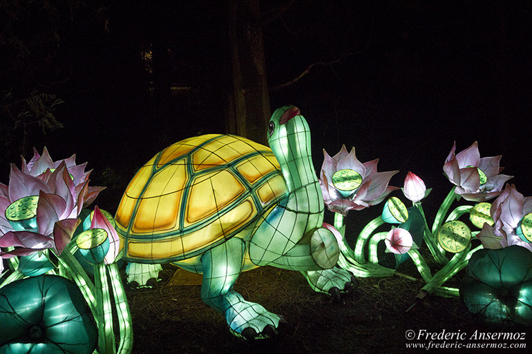 The Lantern Festival of Montreal