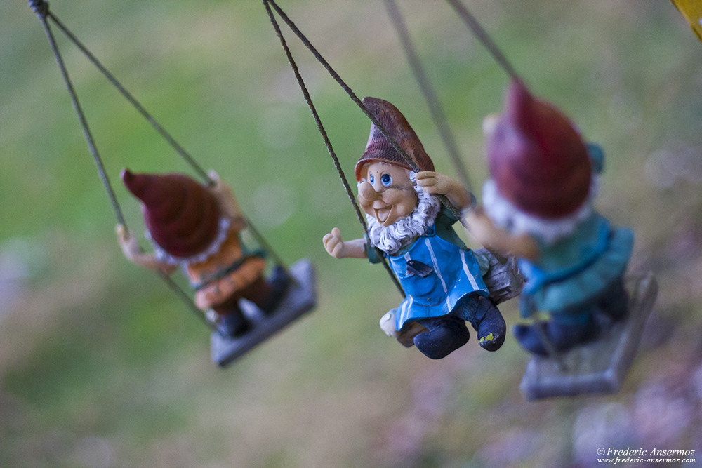 Garden gnomes on a swing