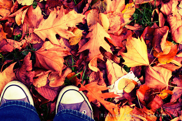 Miranda pang photograhy feet Miranda pang photograhy feet