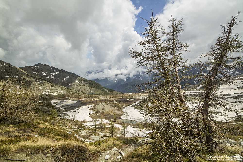 Hiking in Mont Avic Park, Italy