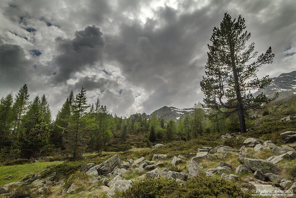 Photographie de paysage en Italie, au Mont Avic, Aoste