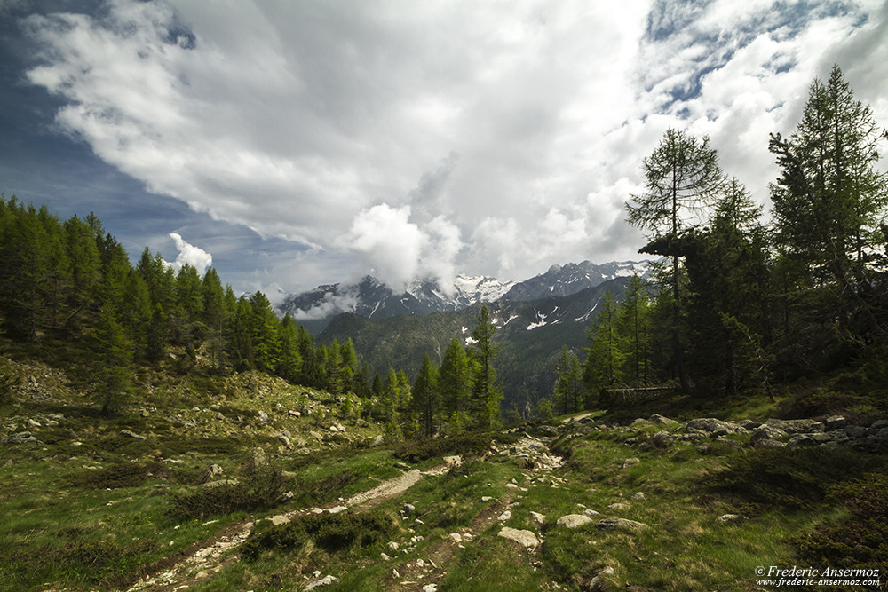 Descente sur les sentiers du Parc du Mont Avic, Italie