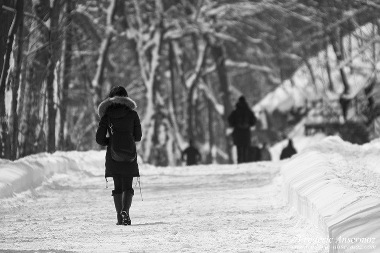 Winter montreal canada 01