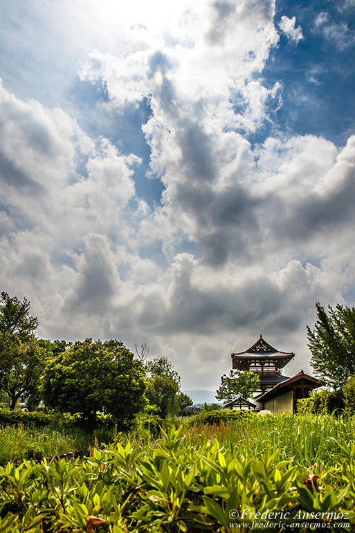 Nara japan 11