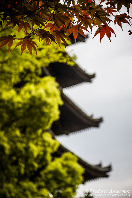 Kofukuji Temple