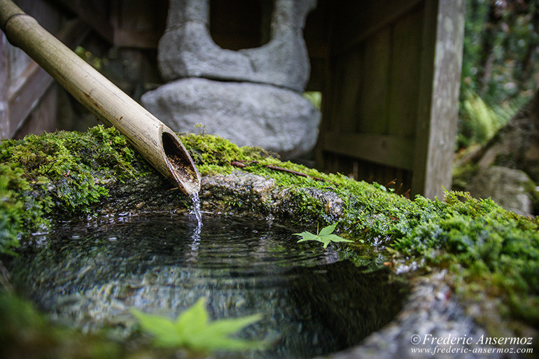 Yoshikien Garden