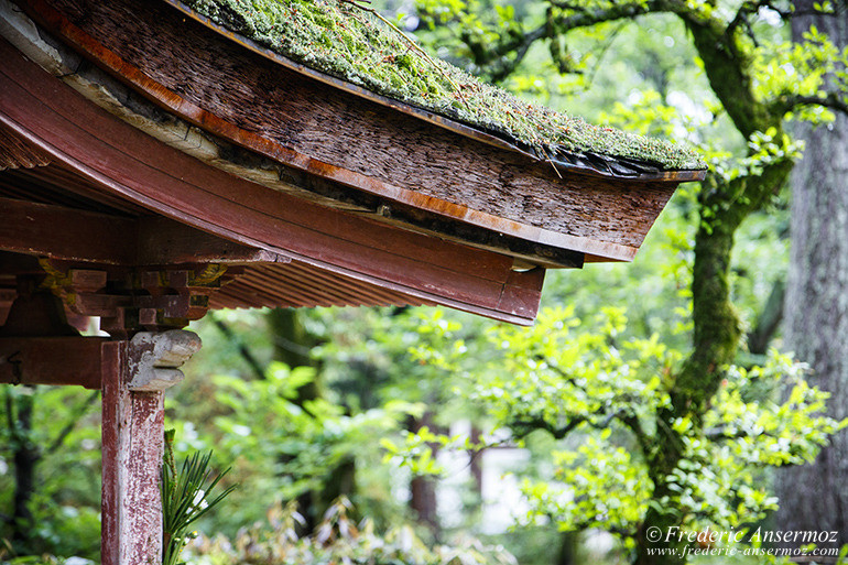 Nara toshodaiji temple 02