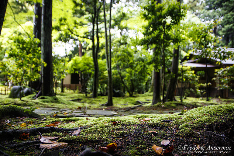 Nara temples 04