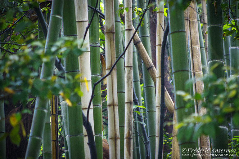 Nara temples 07