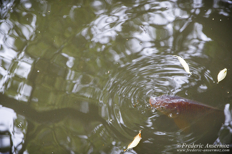 Nara temples 08