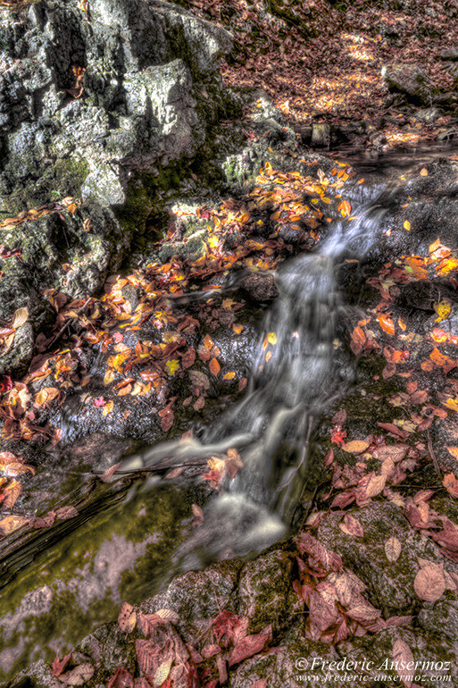 Autumn foliage hdr