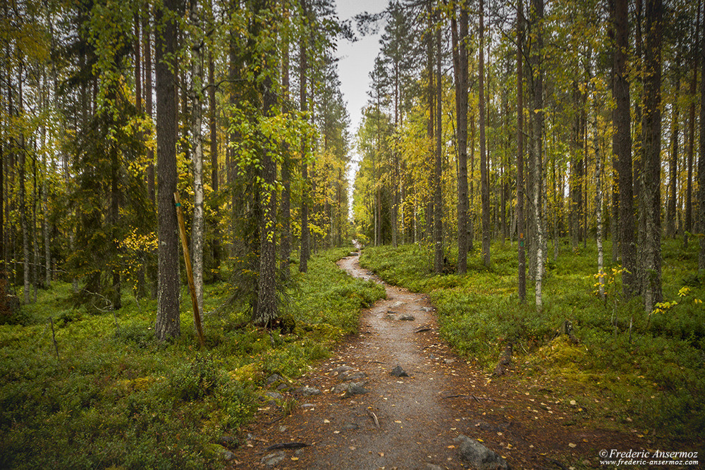 Sentier Pieni Karhunkierros, près du village de Juuma, Finlande