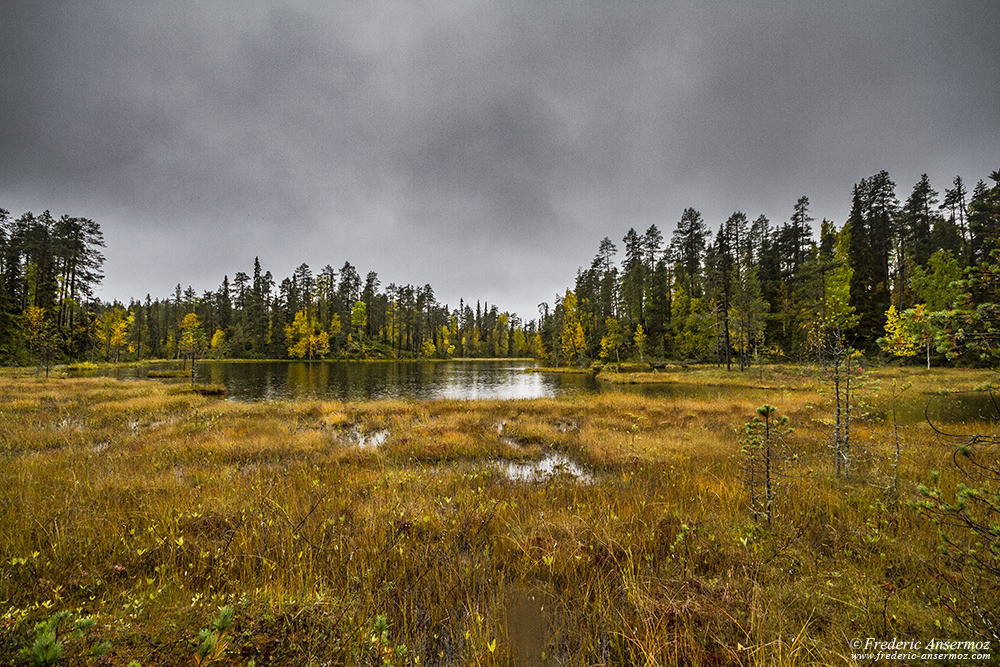 Zone marécageuse de Pyröreälampi, tourbières en Finlande, Oulanka