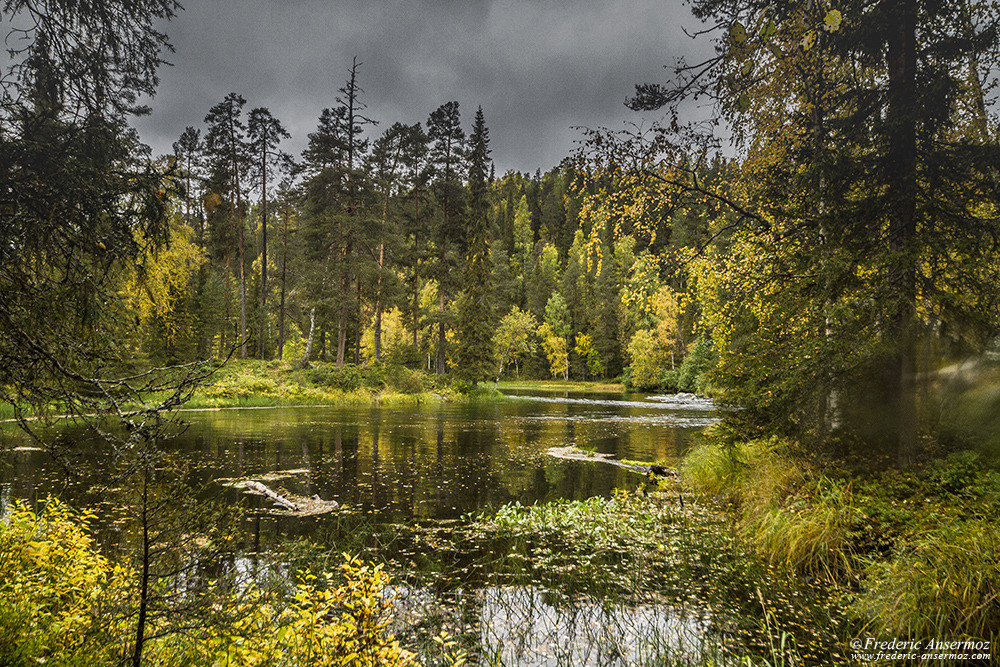 Rivière Kitkajoki, parc national d'Oulanka, Finlande