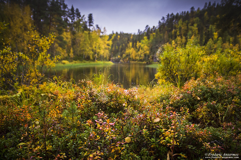 Randonnée sur le sentier Pieni Karhunkierros, rivière Kitkajoki près de Harrisuvanto, Oulanka