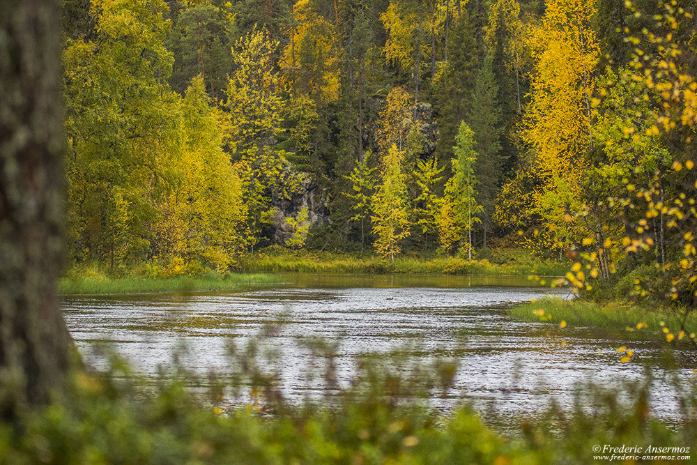 Rivière Kitkajoki durant l'automne en Finlande, parc Oulanka