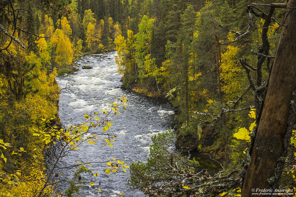 Aallokkokoski rapids on River Kitkajoki, Oulanka, Finland