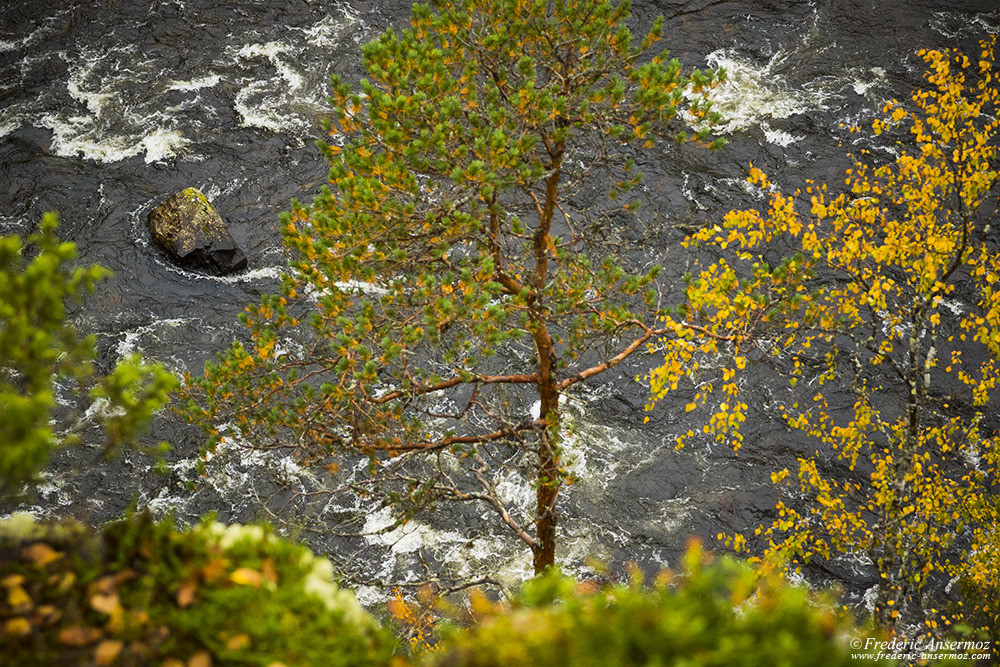 The gorge of River Kitkajoki at Heinäniemi, Oulanka, Kuusamo