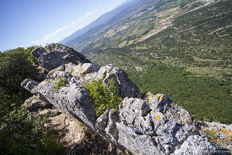 Pic st loup 08 Pic st loup 08
