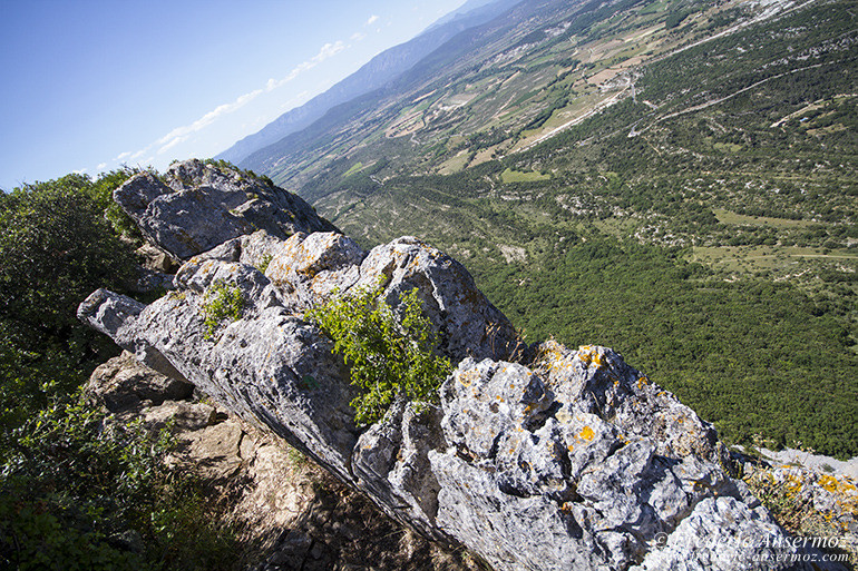 Pic st loup 08