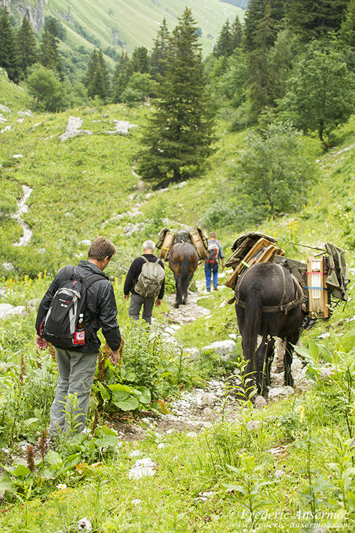 Randonnee suisse 09 Randonnee suisse 09