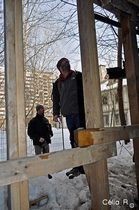 Bâtiments et bureaux abandonnés à St Hubert et la vieille Maison Redpath de Montréal Bâtiments et bureaux abandonnés à St Hubert et la vieille Maison Redpath de Montréal