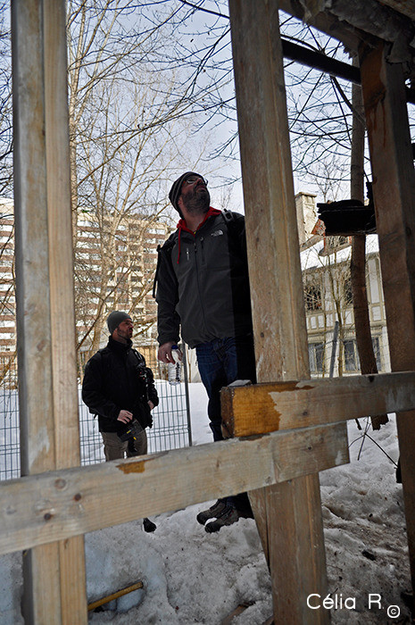 Bâtiments et bureaux abandonnés à St Hubert et la vieille Maison Redpath de Montréal