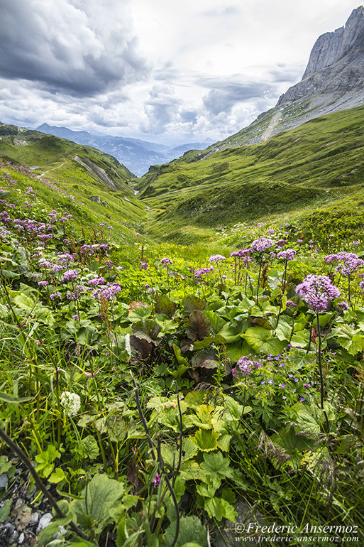 Haute savoie 0970