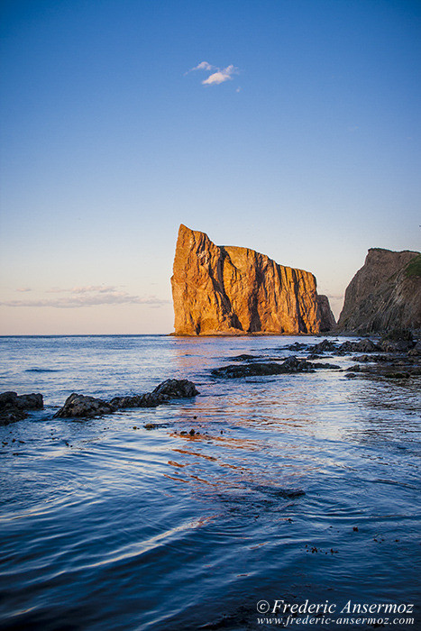 Perce gaspesie 0593