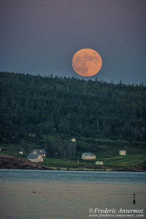 Perce gaspesie 0622