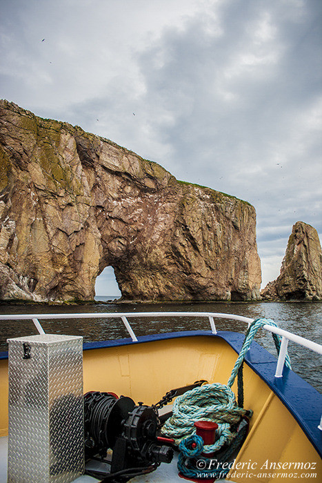 Perce gaspesie 0648