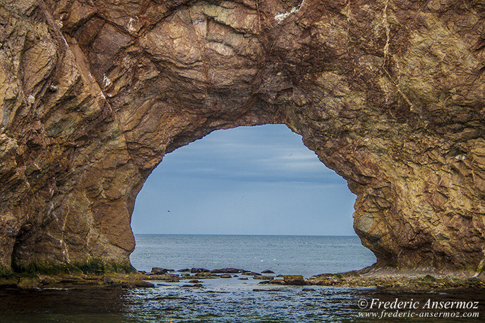 Perce gaspesie 0654