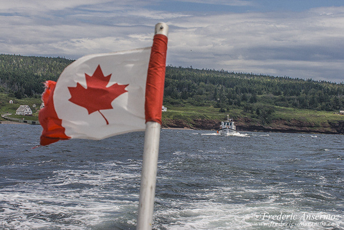 Perce gaspesie 0951