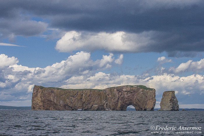 Perce gaspesie 0956