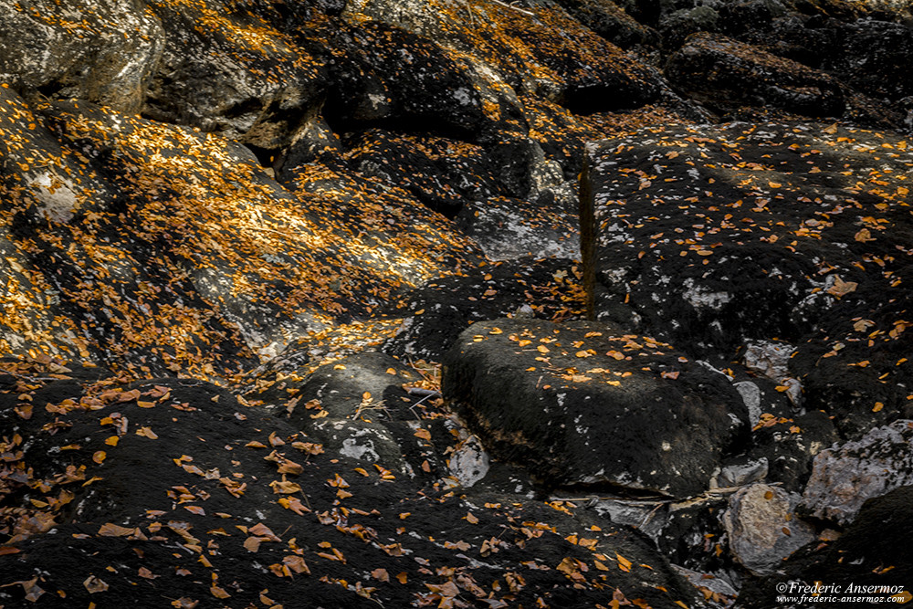 Dry river, Doubs, 2018. Autumn leaves.