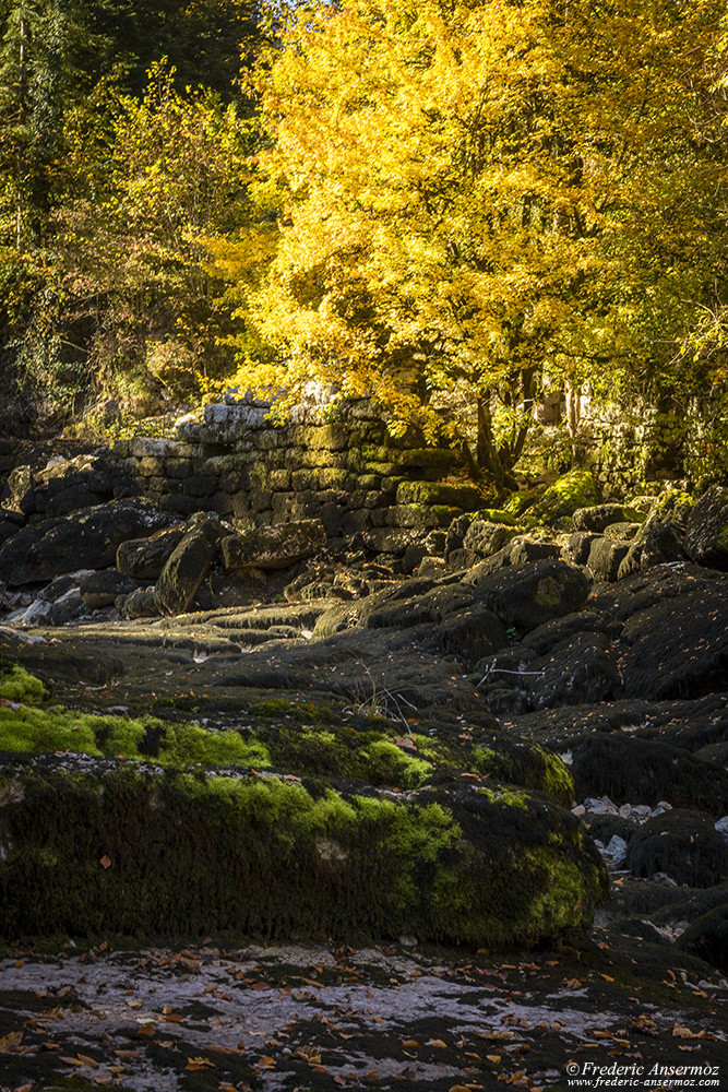 Moss, dry algaes and rocks, but no water. Doubs drought 2018