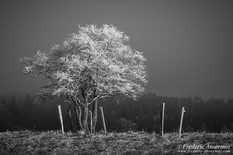 Creux du van 05