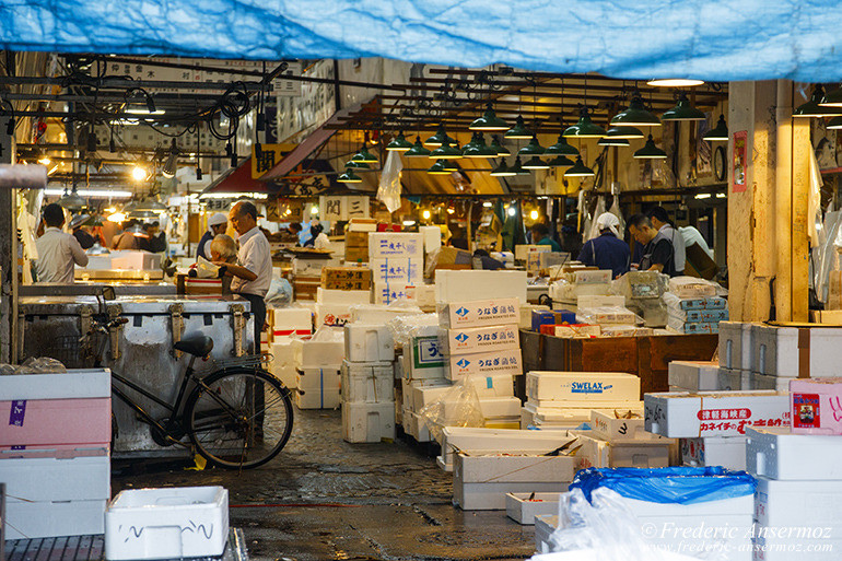 Tokyo fish market 02