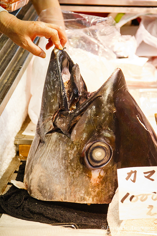 Tokyo fish market 04