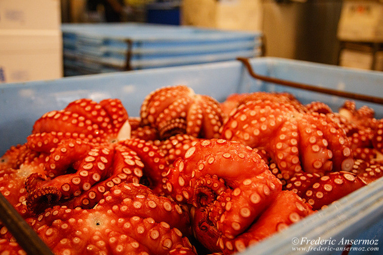 Tokyo fish market 05