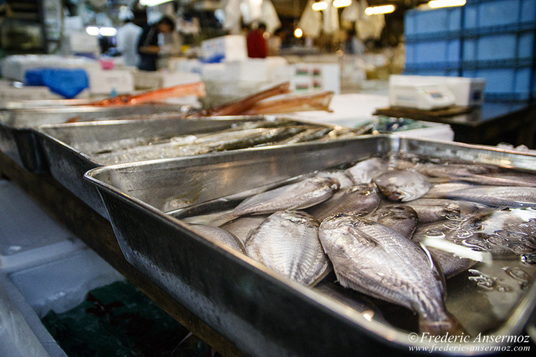 Tokyo fish market 08