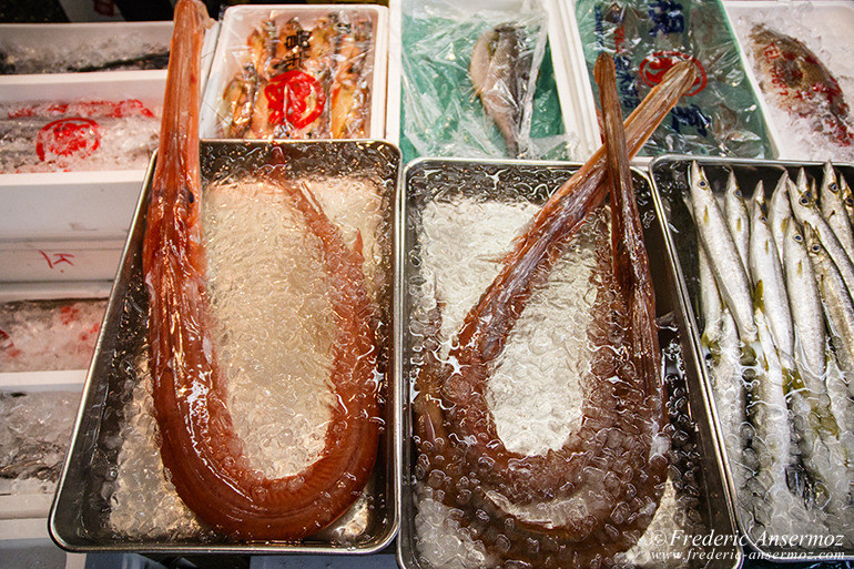 Tokyo fish market 09