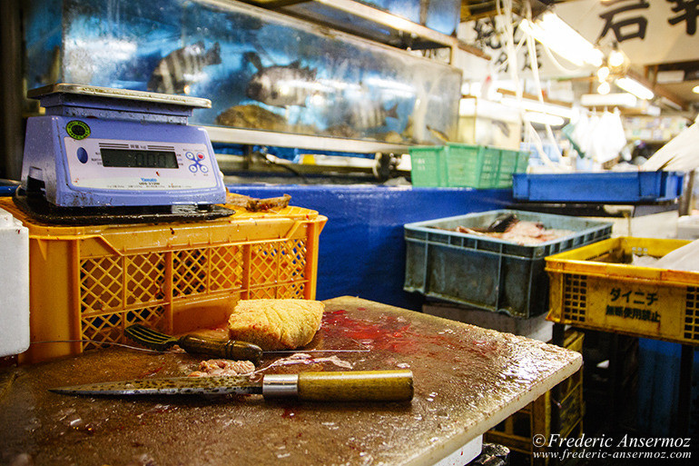 Tokyo fish market 10