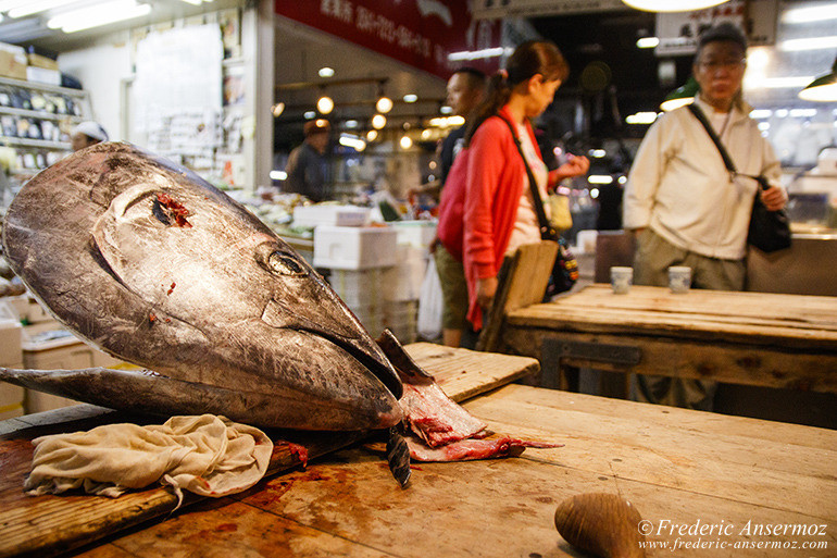 Tokyo fish market 12