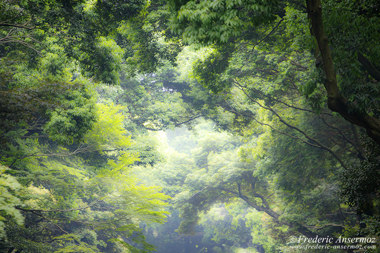 Tokyo temple 09