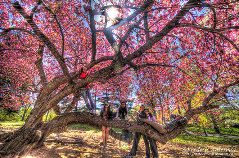 Central park hdr