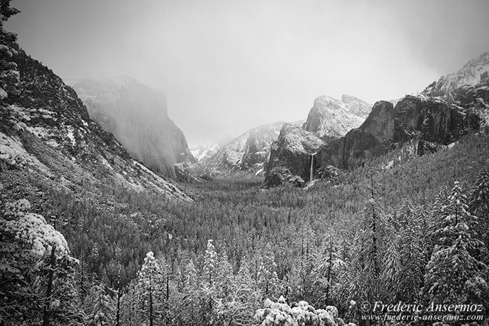 Yosemite 1263