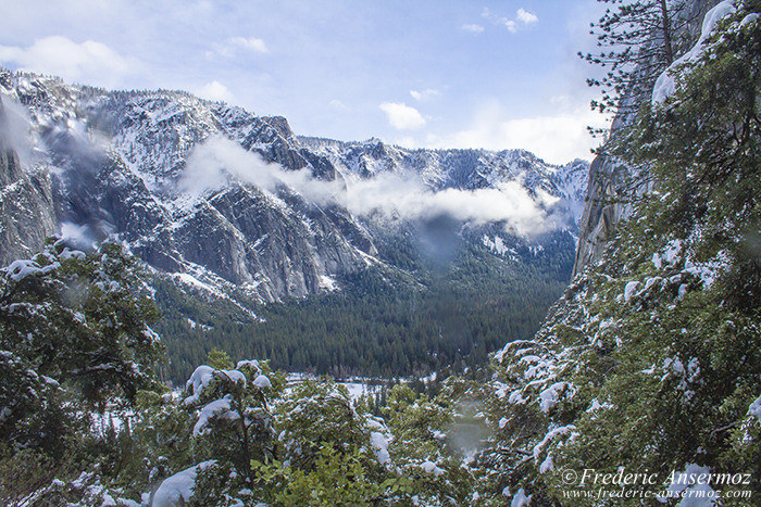 Yosemite 1382