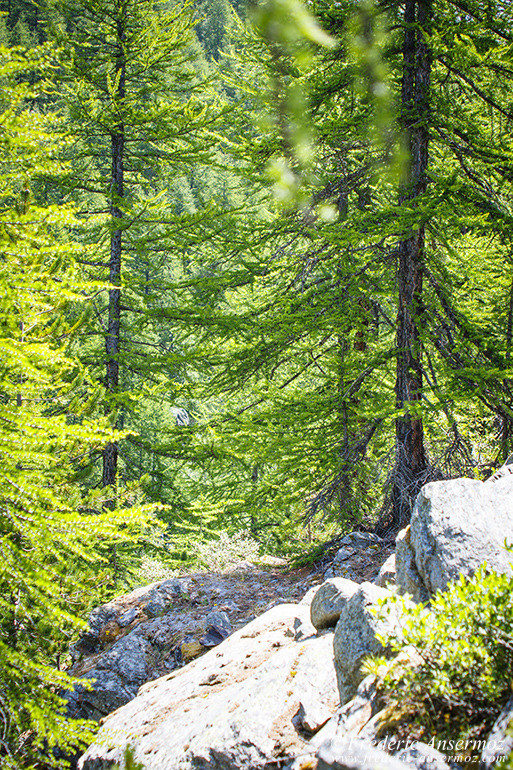 Zermatt switzerland 05